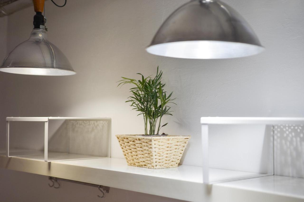 San Pierino Apartment Firenze Eksteriør billede